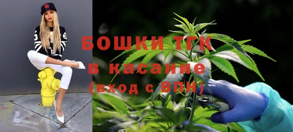 шишки Волосово