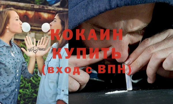 шишки Волосово