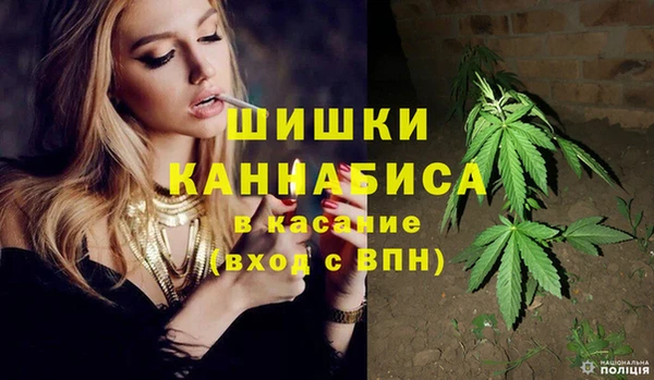 шишки Волосово